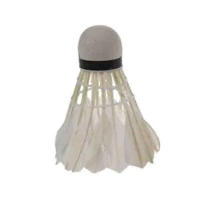 Carlton Carlton Match Sc