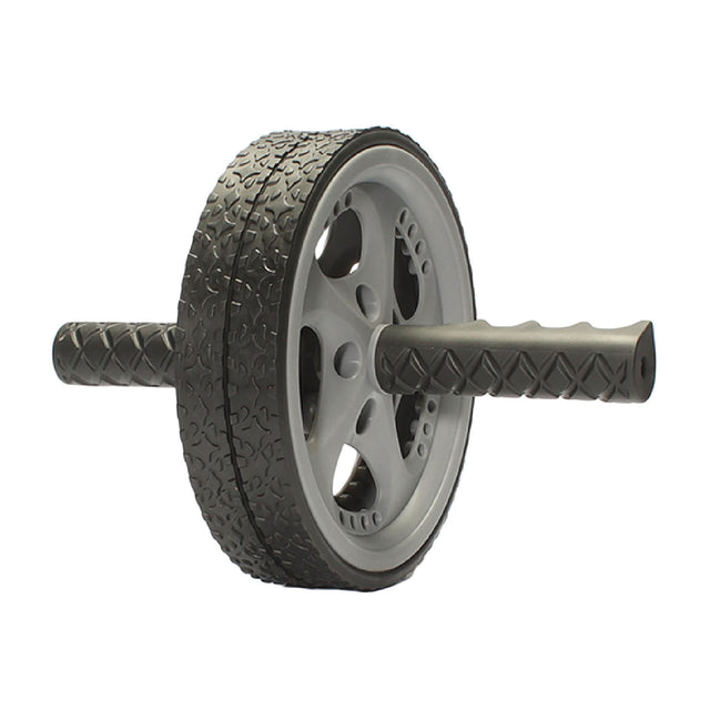 Questor Exercise Wheel