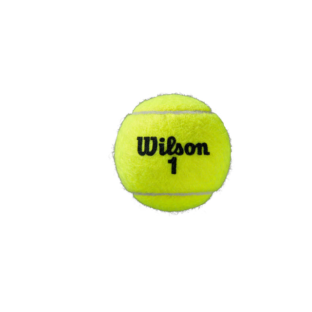 Wilson Roland Garros