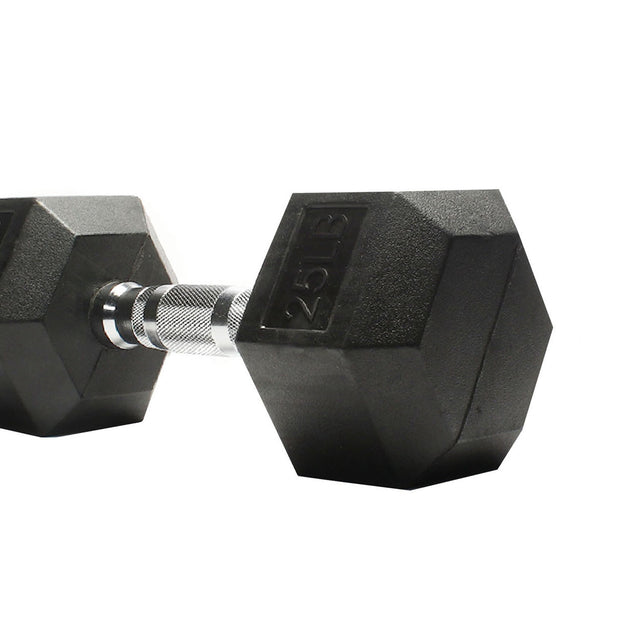 Playhard Fitness Rr Dumbbells 25 Lbs