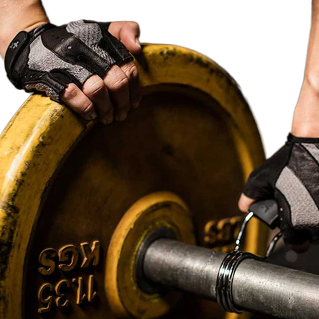 Harbinger Womens Flexfit Gloves