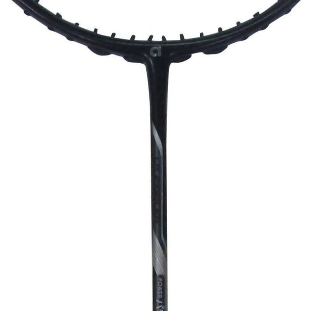 Apacs La Ziggler Power