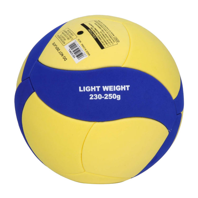 Mikasa Eva Fiam Laminated Volleyball