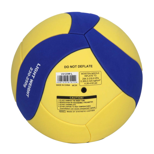 Mikasa Eva Fiam Laminated Volleyball