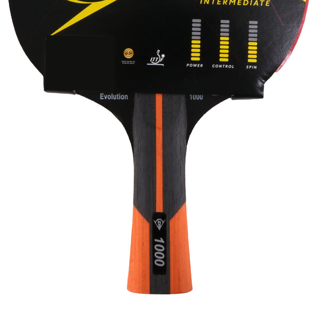 Dunlop Evolution 1000