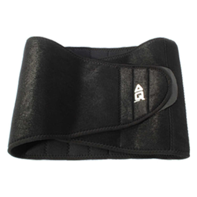 Aq Support Back Support