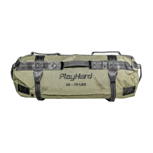 Playhard Fitness Regular Sandbag (Bag Only)