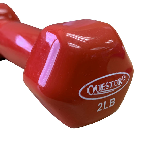 Questor Rubberized Dumbbell (2Lbs)