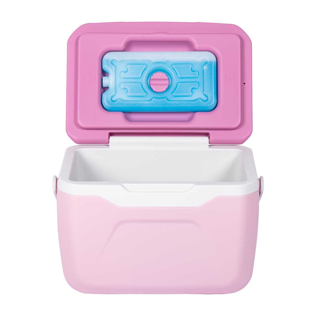 Ice Master Fun Series 5.5L Cooler