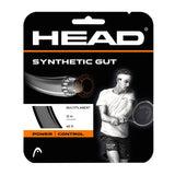 Head Synthetic Gut 17