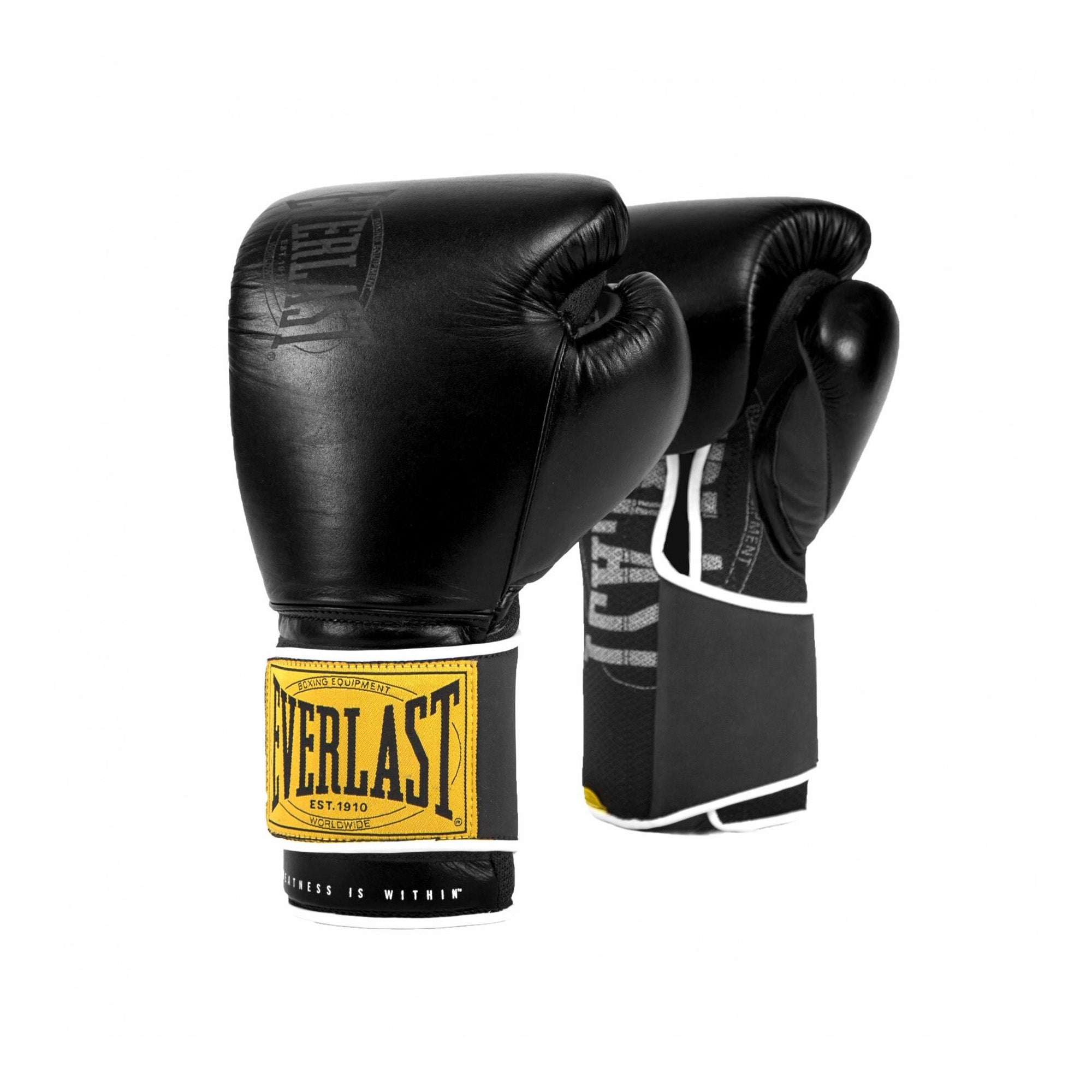 Everlast 1910 Boxing Gloves 12Oz – Olympic Village United