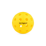 Selkirk Hybrid Plus Pickleball
