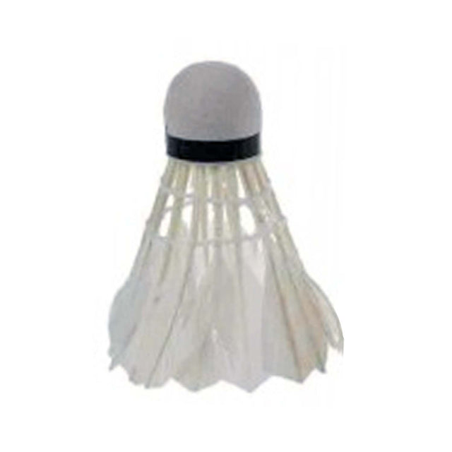 Carlton Carlton Play Sc