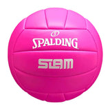 Spalding Slam
