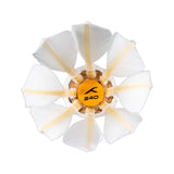 Hundred S40 Speed