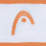 Head Wristband Striped 2.5 Apwh