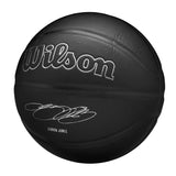 Wilson Nba Player Evergreen Bskt Lebron