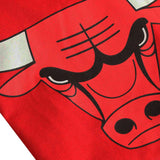 Nba Chicago Bulls Primary Logo Shirt