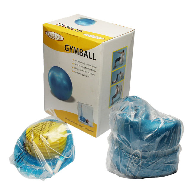 Gym Ball 55Cm W/ Pump