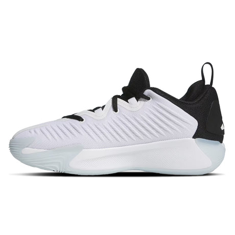 White and black sneaker on a white background
