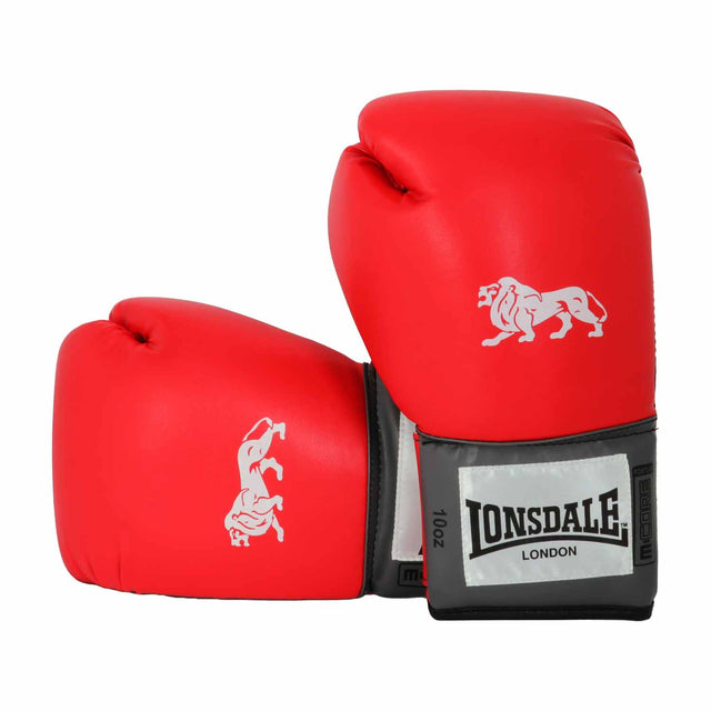 Pro Training Gloves  (14Oz)