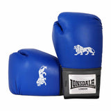 Pro Training Gloves  (12Oz)