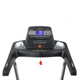 Questor Motorized Treadmill