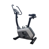 Champion Ee Upright Bike Swift 8356