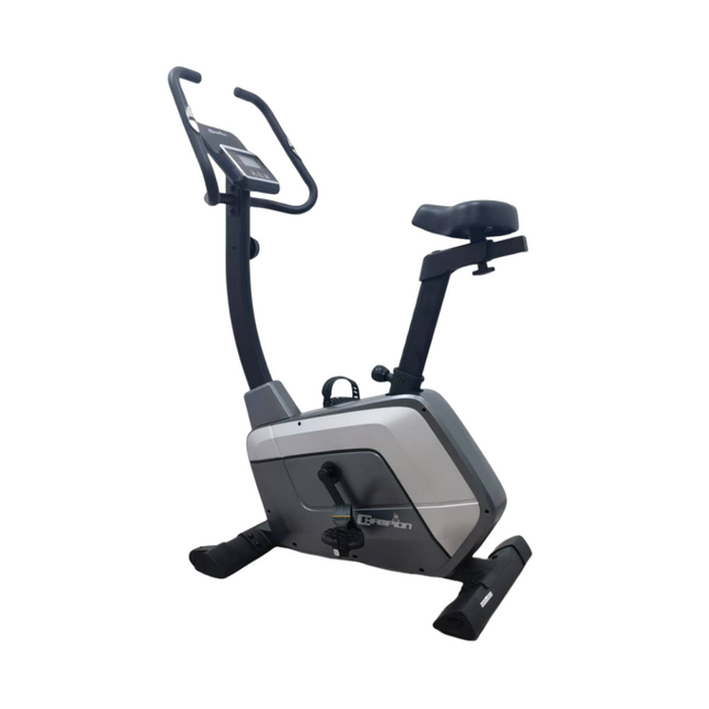 Champion Ee Upright Bike Swift 8356