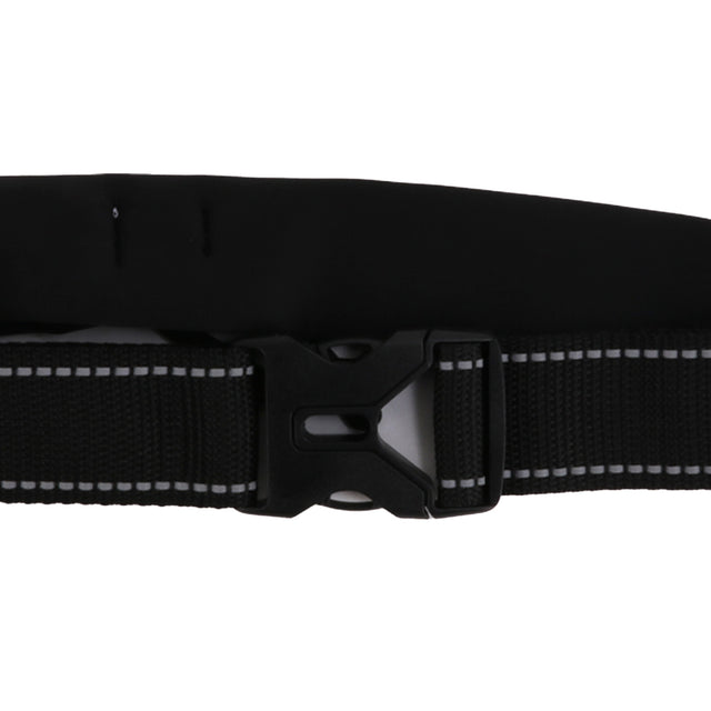 Running Belt