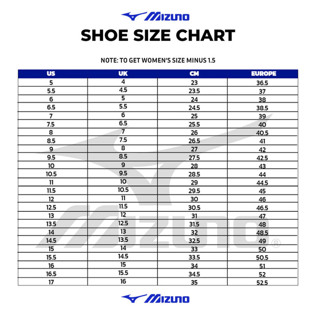 Mizuno Sky Blaster 4 Badminton Shoe