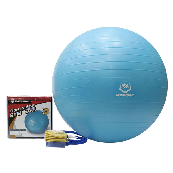 Fitness gear exercise discount ball