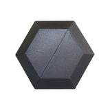 Hex Dumbbell (25Lbs)