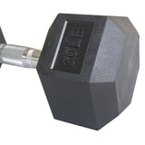 Hex Dumbbell (30Lbs)